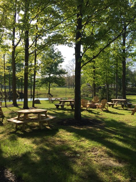 Pond area with picnic tables, fire pits and lawn games at DollyBrook Resort near Saugatuck and South Haven, MI Public Picnic Area Design, Outdoor Picnic Area, Picnic Area Landscape Architecture, Park With Pond, Park Picnic Table, Park Seating, Outdoor Gathering Area, Diy Ponds Backyard, Picnic Park