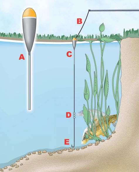 No matter what the depth is tight to the margins of your local commercial carp fishery, this rig will catch you fish from there. It is one of the best rigs to use to catch the huge carp that patrol the outer perimeter of all commercial carp lakes countrywide. A A short, fat and dumpy dibber Pike Fishing Tips, Fishing Tricks, Carp Fishing Rigs, Fly Fishing Tips, Bass Fishing Tips, Pike Fishing, Walleye Fishing, Fishing Rigs, Crappie Fishing