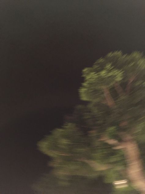 Aesthetic tree pic :) Trees At Night Aesthetic, Aesthetic Tree, Dark Tree, Sky Moon, Dark Art Illustrations, Night Aesthetic, Aesthetic Photo, Dark Aesthetic, Aesthetic Girl