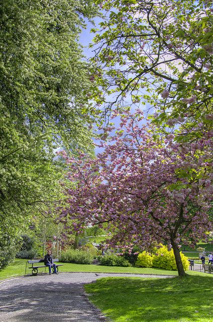 Kensington Gardens #Kensington, #London, #England Kensington Gardens London, Kensington And Chelsea, Kensington Gardens, Peaceful Living, London Park, England And Scotland, London Town, London Calling, London Love