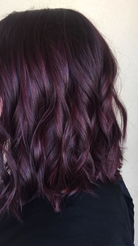 Deep Violet Hair Color Highlights, Purple Hair From Brown, Dark Purple Medium Length Hair, Natural Looking Purple Hair, Violet Undertone Hair, Plum Hair On Brown Hair, Smokey Violet Hair Color, Purple Tint Hair Brown, Plum Purple Brown Hair