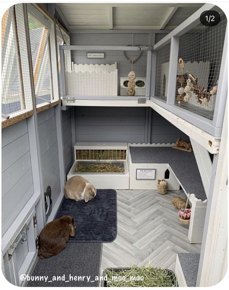 Cool Bunny Cages, Inside Bunny House, Bunny Outside Cage, Animal Shed Ideas, Bunny Home Set Up, Rabbit Incloser, Bunny Farm Ideas, Outside Bunny Cages, Bunny Houses Outdoor