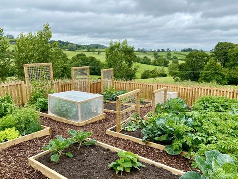 Vegtable Garden Layout, Willow Garden, Raised Bed Garden Design, Bio Design, Veg Patch, Patch Ideas, Allotment Gardening, Summer Vegetables, Vegetable Farming