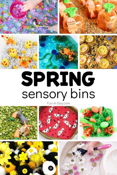 So many engaging, hands-on sensory bin activities to try this spring. Add the sensory ideas to your preschool and kindergarten spring lesson plans. Click on the Fun-A-Day.com link to read all about them. Spring Theme Preschool Activities, Easy Sensory Bins, Spring Sensory Bin, Spring Sensory, Spring Lesson Plans, Spring Theme Preschool, Spring Science, Spring Lessons, Bugs Preschool