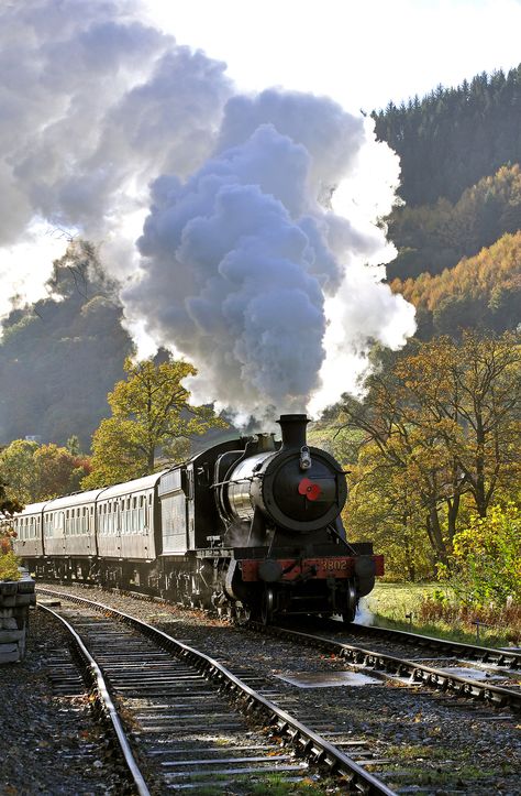 Steam Trains Photography, Old Steam Train, Steam Engine Trains, Scenic Railroads, Steam Railway, In Remembrance, Railroad Photography, Train Art, Train Photography