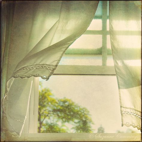 Breezy .....     A perfect summer day is when the sun is shining, the breeze is blowing, the birds are singing, and the lawn mower is broken. ~ James Dent An Open Window, Elsie De Wolfe, Living Vintage, Looking Out The Window, Window View, Open Window, Through The Window, Summer Breeze, Foto Inspiration