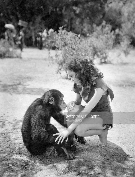 News Photo : Maureen O'Sullivan - Actress, USA +-+ - Scene... Tarzan Movie, Maureen O'sullivan, Turner Classic Movies, Tarzan, Classic Movies, Still Image, Front Row, Getty Images, Actresses