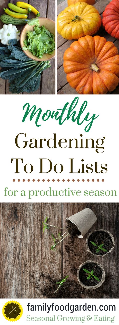 Indoor Vegetables, Indoor Vegetable Gardening, Organic Vegetable Garden, Meteor Garden 2018, To Do Lists, Organic Gardening Tips, Seasonal Garden, Family Food, Food Garden