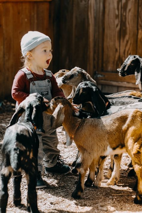 Support your local #farms, but have fun doing it as well! Loved capturing Beauxs first time at a goat farm! Its always a #photoshoot with our #adventures  #momblog #blogger #portraitphotography #momtographer #photographer Baby Goat Photoshoot, Farm Animal Photoshoot, Goat Photoshoot, Goat Photography, Cowboy Photoshoot, Farm Photoshoot, Fam Photos, Animal Photoshoot, Toddler Photoshoot