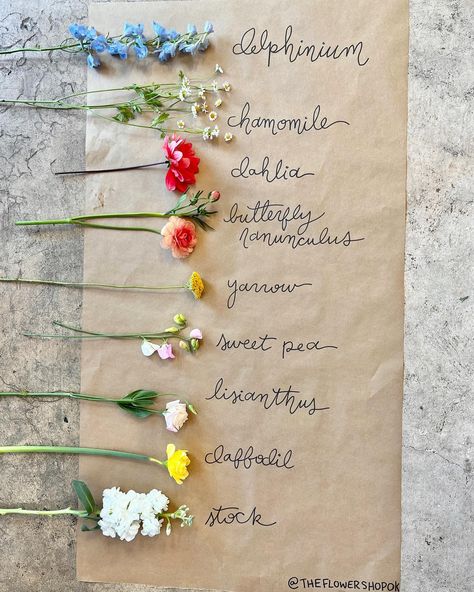 The Flower Shop | Norman Florist (@theflowershopok) • Instagram photos and videos Starting A Flower Shop Business, Wildflower Wedding Diy, French Florist Shop, Flower Shop Marketing, Cute Flower Shop Names, Florist Content Ideas, Flower Workshop Ideas, Flower Shop Ideas Business, Florist Hacks