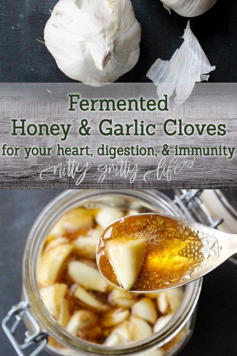 Fermented Honey and Garlic Cloves Garlic And Honey Benefits, Fermented Garlic Honey, Honey Remedies, Fermented Garlic, Fermented Honey, Garlic Honey, Infused Honey, Garlic Benefits, Fermentation Recipes