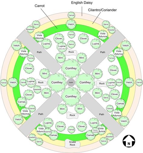 A Permaculture Idea... plant in Guilds, where each of the plants in the group provides value for each of the other plants in the group.  Enhancing the productivity and health of the entire Guild. Fruit Trees Garden Design, Tree Guild, Tree Garden Design, Fruit Tree Garden, Garden Planning Layout, Food Forest Garden, Areas Verdes, Permaculture Design, Permaculture Gardening