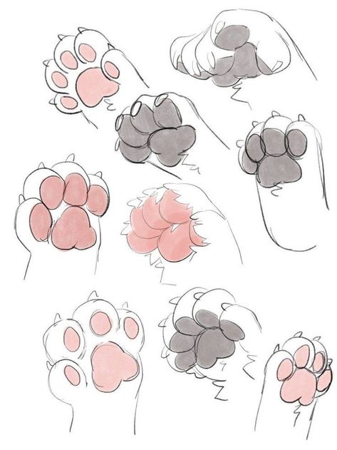 Big Cat Sketch, Cat Art Reference, Cat Paw Drawing, Skitse Bog, Puppy Boy, Paw Drawing, Istoria Modei, Cat Drawing Tutorial, Drawing Hands