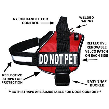 Hunting Dog Training, Dog Training Vest, Service Dog Harness, Dog Training Tricks, Train A Puppy, Service Dog Vests, Service Dog Training, Dog Vests, Vest Harness