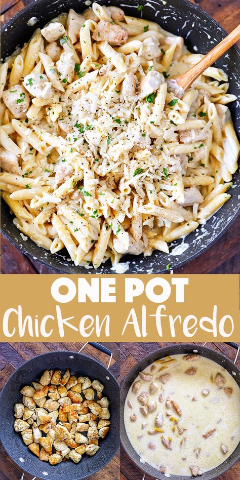 One Pan Chicken Alfredo, Chicken Alfredo Dinner, One Pot Chicken Alfredo, Homemade Chicken Alfredo, Chicken Alfredo Recipe, Chicken Alfredo Recipes, Chicken Alfredo Pasta, One Pan Chicken, One Pot Dinners