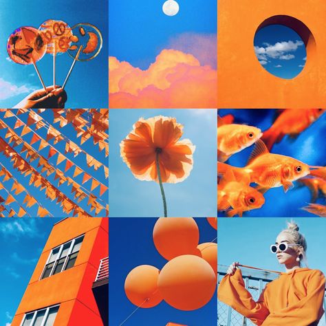 Orange And Blue Combination, Aesthetic Freedom, Californian Poppy, Orange Ocean, Cloud Template, Orange Bar, Blue Website, Instagram Business Account, Instagram Branding Design