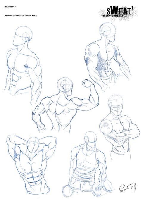 Sweat Release#15: Muscle Studies from Life by DracowormArt Muscle Drawing Refrences, Drawing Poses Muscles, Male Muscle Anatomy Drawing, Flexing Muscles Drawing, Body Muscle Anatomy Drawing, Muscle Guy Reference, Muscly Guy Drawing Reference, Sweat Drawing Reference, Muscle Guy Drawing