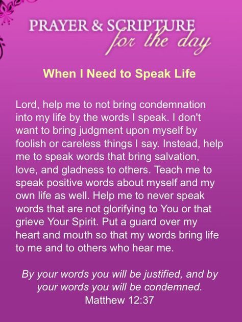 When I need to Speak Life ~ Speak Life Scriptures, Stormie Omartian Prayers, Table For One, Stormie Omartian, Prayer Changes Things, Be Single, Prayer For The Day, Good Morning Prayer, Christian Prayers