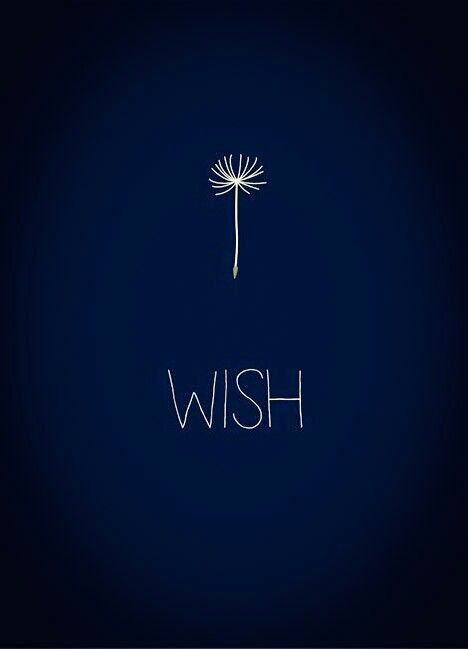 11 11 Make A Wish, All The Best Wishes, Moral Values, Happy Soul, Soft Spot, Tattoo Designs For Women, Cool Fonts, Make A Wish, Gifts Ideas