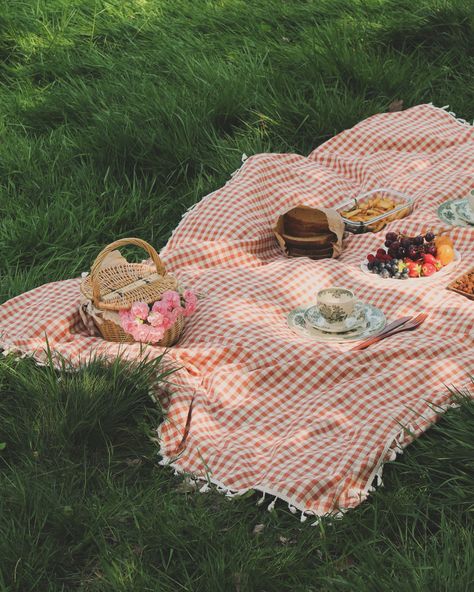 Grass Picnic, Field Picnic, Picnic Spring, The Meadows, Green Grass, Birds Eye, Devon, Picnic Blanket, Birds