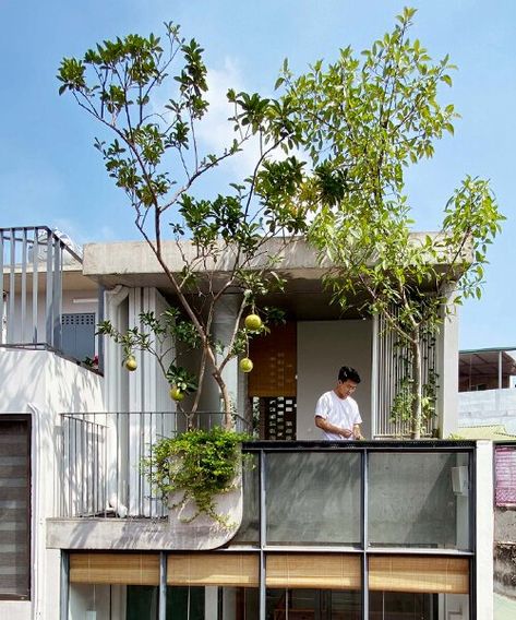 Narrow House Ideas, Narrow House Facade Design, Small House Design 2 Storey, Vietnam Architecture, Chau Doc, Narrow House Designs, Bamboo Ceiling, Narrow Lot House Plans, Timber Roof