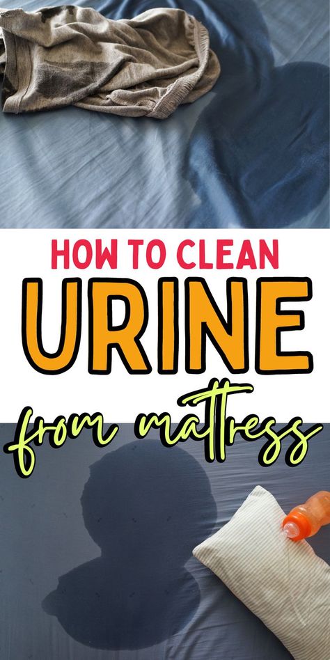 Get Rid Of Pee Smell On Mattress, Best Way To Clean Pee Out Of A Mattress, Cleaning Pee Out Of Mattress, How To Clean Pee Off Mattress, How To Get Rid Of Pee Stains On Mattress, Cleaning A Mattress Urine, Get Pee Smell Out Of Mattress, How To Get Pee Stains Out Of Mattress, Removing Pee Stains From Mattress