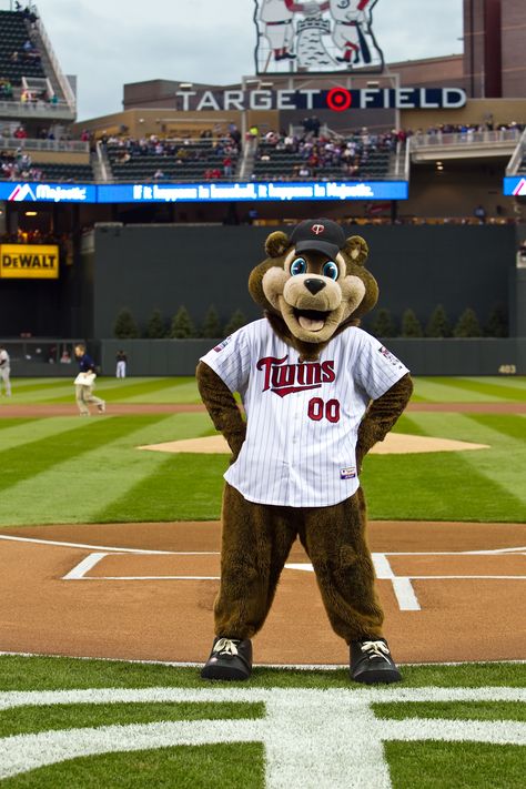 TC Bear - Minnesota Twins mascot. White Bear Lake Minnesota, Baseball Mascots, Minnesota Twins Baseball, Target Field, Baseball Room, Twins Baseball, Baseball Stuff, Minnesota Home, At Family