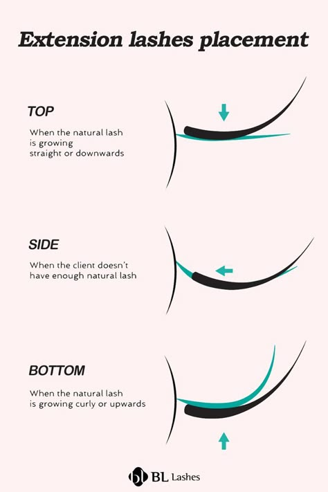 how to correctly attach lash extensions? Care Lash Extensions, Eyelash Extension Thickness Chart, Eyelash Extension Information, Lash Mapping Eyelash Extensions Beginner, Eyelash Extension Education, Eyelash Extensions Education, Eyelash Extension Placement, Lash Cheat Sheet, Beginner Classic Lash Map