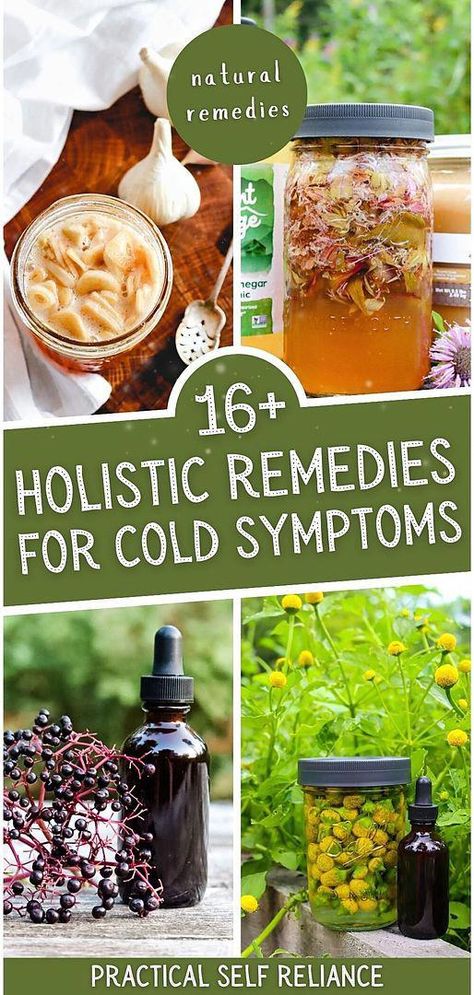 Explore over 16 holistic remedies for colds that are all about natural remedies & holistic remedies. These treatments, from elderberry syrup to fermented garlic honey, boost your immune system and alleviate cold symptoms, allowing your body to recover naturally. Ideal for those seeking gentle, effective ways to combat colds. Learn more about herbalism for beginners, herbs for health, and herbal medicine recipes at practicalselfreliance.com #HealthTipsWebsite Herbalism For Beginners, Medicine Plants, Natural Medicines, Medicine Recipes, Medication List, Garlic Honey, Herbal Medicine Recipes, Healthy Tea, Herbal Remedies Recipes