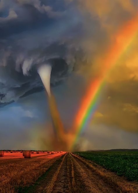 Nacreous Clouds, Atmospheric Phenomenon, Pretty Landscapes, Amazing Nature Photos, Beautiful Photos Of Nature, Pretty Wallpapers Backgrounds, Natural Phenomena, Sky And Clouds, Nature Photographs