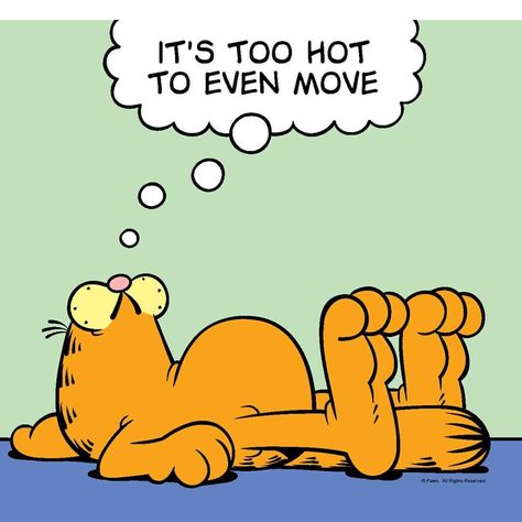 It's too hot Warm Weer Humor, Summer Heat Humor, Attitude Cat, Weather Humor, Garfield Quotes, Hot Weather Humor, Hot Meme, Garfield Pictures, Weather Memes