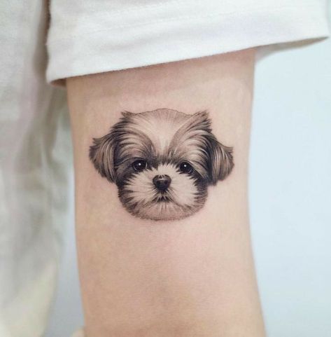 Small Dog Face Tattoo, Shih Tzu Tattoos, Shitzu Tattoos, Shih Tzu Tattoo Minimalist, Shihtzu Tattoos, Shih Tzu Tattoo, Dog Tattoo Ideas Minimalist, Tattoo Ideas Minimalist, Creative Tattoo Ideas