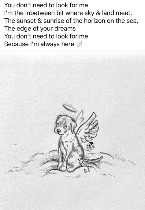 Dog Memorial Quotes, Losing A Pet Quotes, Dog Heaven Quotes, Memorial Quotes, Bon Ami, Pet Quotes, Losing My Best Friend, Heaven Quotes, Dog Heaven