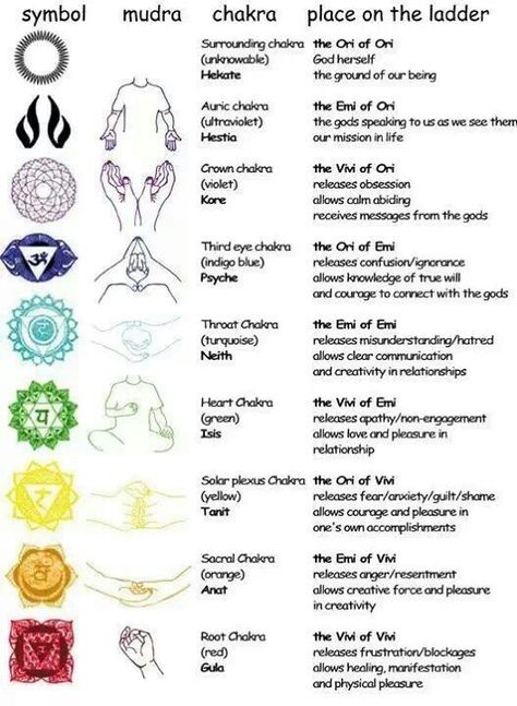 Chakra hand signals Chakra Heilung, Yoga Exercises, Les Chakras, Chakra Meditation, Vinyasa Yoga, Mind Body Spirit, Pranayama, Mind Body Soul, Spiritual Healing