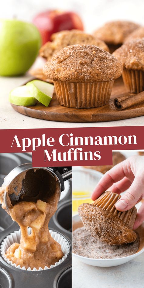 Apple Cinnamon Muffins With Apple Pie Filling, Apple Cinnamon Chip Muffins, Apple Crumble Muffins Healthy, Chocolate Apple Muffins, Recipes Using Cooking Apples, Apple Chunk Muffins, Apple Cinnamon Breakfast Muffins, Moist Apple Cinnamon Muffins, Gf Apple Cinnamon Muffins