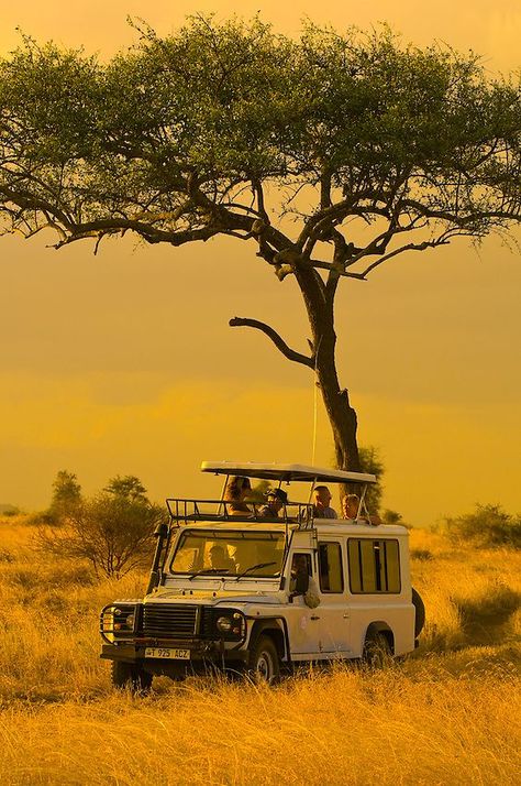 Rp Pfp, Tanzania Travel, Tanzania Safari, Serengeti National Park, Africa Destinations, Safari Travel, Africa Do Sul, On Safari, 사진 촬영 포즈