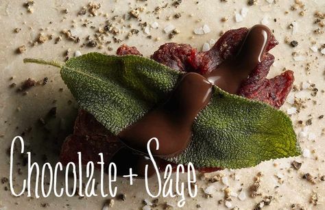 Chocolate + Sage | 23 Unexpected Flavor Combos That Taste Amazing Strawberry Gazpacho Recipe, Balsamic Pot Roast, Flavor Combos, Thyme Chicken, Gazpacho Recipe, Walnut Shrimp, Chemical Compounds, Chocolate Pairings, Heston Blumenthal