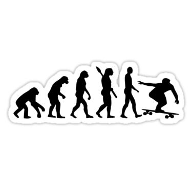 "Evolution Longboard" Stickers by Designzz | Redbubble Snooker Room Ideas, Pool Hall Ideas, Billards Art, Billiards Quotes, Pool Tattoo, Billiards Room Decor, Snooker Room, Pool Shirts, Pool Table Room