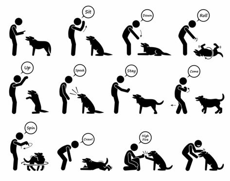 How to Communicate With a Deaf Dog? (Hand Signals Chart) | Dog Advisory Council Dog Training Hand Signals, Dog Hand Signals, Deaf Dog, Dog Commands, Hand Signals, Dog Training Advice, Dog Training Techniques, Dog Obedience, Stick Figures