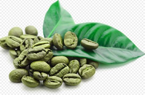 Kona Coffee Hawaii, Jamaican Blue Mountain Coffee, Green Tea Coffee, Raw Coffee Beans, Blue Mountain Coffee, Robusta Coffee, Coffee Blog, Fat Burners, Green Coffee Bean Extract