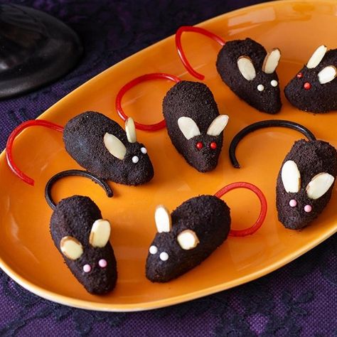 Chocolate Mice | "Kids will love these, they are whimsical and fun. Cute chocolate mice rolled in confectioners' sugar or chocolate cookie crumbs are very realistic." Candy Mice, Party Kids Table, Rat Birthday, Chocolate Mouse Recipe, Chocolate Mice, Mouse Recipes, Sugar Mice, Party Food Bar, Dessert Halloween