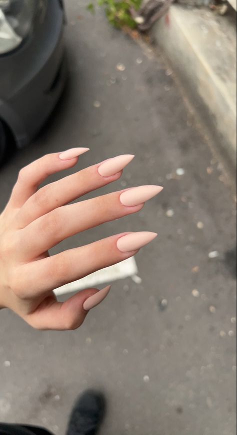 Pointy Neutral Nails, Stilleto Nails Neutral, Sharp Claws Nails, Minimalist Nails Stiletto, Nude Stiletto Nails Short, Acrylic Nails Pointy Almond, Long Acrylic Nails Pointy, Matte Stiletto Nails Design, Nude Pink Stiletto Nails