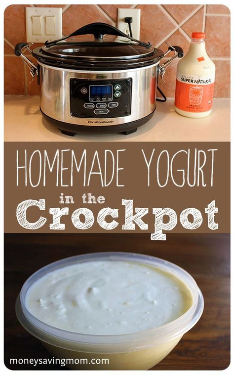 Homemade Yogurt in the Crockpot #homemadeyogurt #yogurtrecipe #crockpotyogurt Homemade Yogurt Recipes, Homemade Yogurt, Fruit Dip, Yogurt Recipes, Crock Pot Slow Cooker, Crock Pot Cooking, Fermented Foods, Puddings, Diy Food