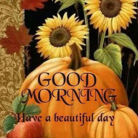 Good Morning Have a Beautiful Day pumpkin greetings good morning good morning greeting good morning quote good morning poem good morning blessings good morning friends and family good morning coffee autumn good morning fall good morning Good Morning Beautiful Day, Good Morning Today, Quotes Good Morning, Morning Quotes Funny, Adornos Halloween, Cute Good Morning Quotes, Psychic Medium, Cute Good Morning, Morning Blessings