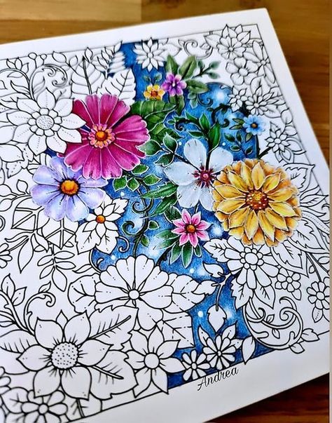 Secret Garden Coloring Book Finished, Colored Pencil Art Projects, Joanna Basford Coloring, Johanna Basford Secret Garden, Secret Garden Coloring Book, Joanna Basford, Mosaic Art Diy, Magical Jungle, Secret Garden Colouring