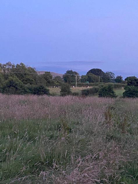 Summer Dusk Aesthetic, Dusk Aesthetic, Dusk Summer, Ep Cover, Park Aesthetic, Uk Summer, Grassy Field, Nature View, Aesthetic Cute