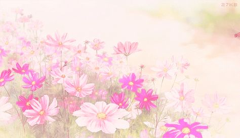 Pink And Green Banner Gif, Light Pink Headers, Pink Banner Gif, Disc Banner, Gif Banners, Princess Banner, Flower Banner, Gif Background, Aesthetic Gifs