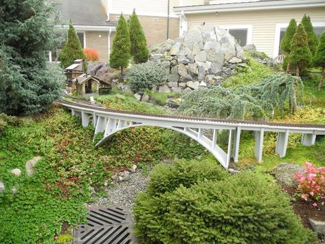 Miniature Gardening vs. Railroad Gardening: Mentoring the Teacher ‣ The Mini Garden Guru N Scale Coffee Table Layout, Train Garden, Miniature Garden Plants, Sound Garden, Garden Railings, Garden Trains, Ho Scale Train Layout, Garden Railroad, Model Railway Track Plans