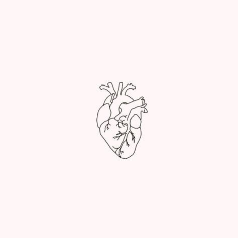 Эскиз контурный/сердце Realist Heart Tattoo, Atomical Heart Tattoos Simple, Human Heart Outline Tattoo, Red Human Heart Tattoo, Small Real Heart Tattoo, Reflection Tattoo Ideas For Women, Small Realistic Heart Tattoo, Fine Line Anatomical Heart Tattoo, Burning Heart Tattoo Minimal