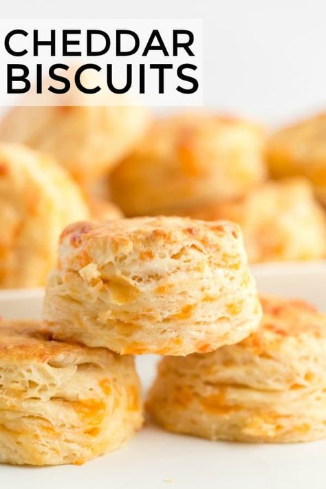 Light, cheesy, easy and fluffy, these Cheddar Biscuits are a quick and delicious recipe that is perfect to whip up for dinnertime meals. #biscuits #cheese #baking #dinnertime #sidedish #recipe #easyrecipe Biscuits Cheese, Garlic Cheddar Biscuits, Cheddar Cheese Biscuits, Cheesy Biscuits, Savory Bread Puddings, Cheesy Biscuit, Cheddar Biscuits, Cheese Biscuits, Biscuits Easy